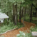 Canvas tent set up in a peaceful Tennessee forest with a woodland path, perfect for a rustic camping getaway.