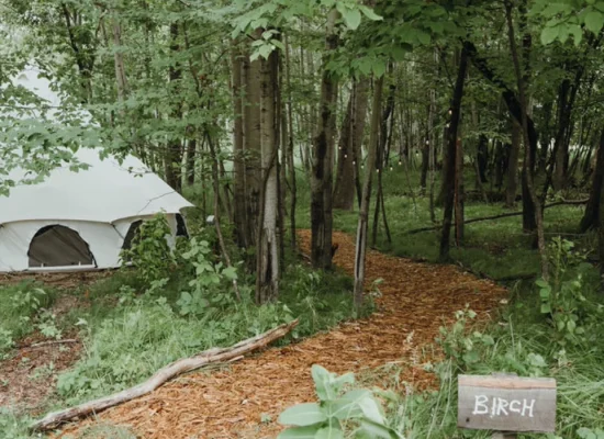 Canvas tent set up in a peaceful Tennessee forest with a woodland path, perfect for a rustic camping getaway.