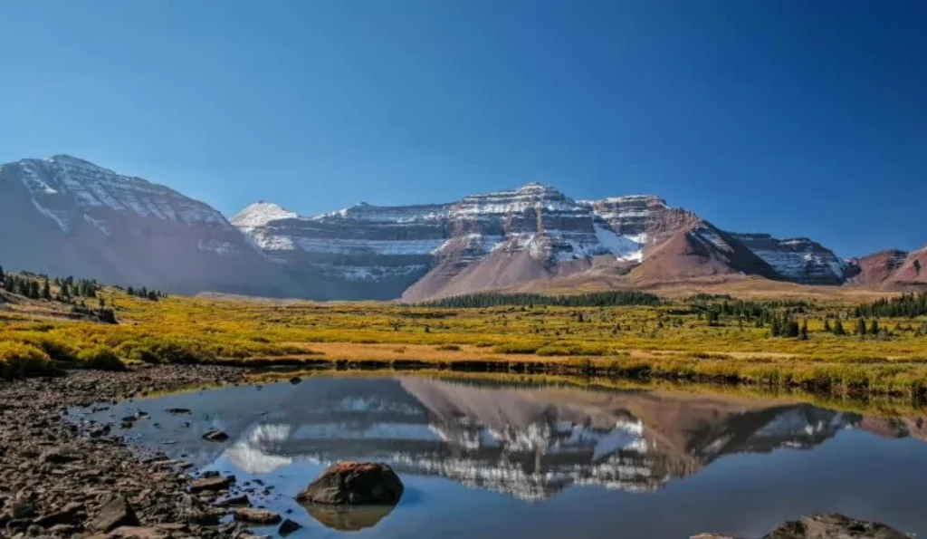Uinta-Wasatch-Cache National Forest. Credit: Utah.com