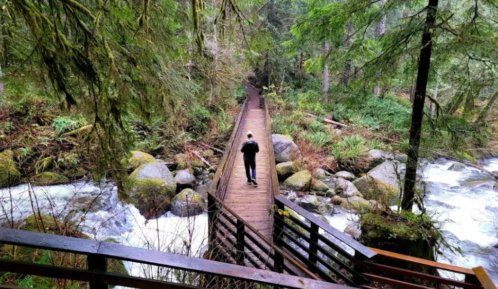Wallace Falls State Park. credit: Google Business Profile.