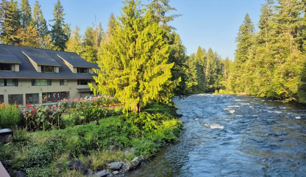Willamette National Forest. Credit: Google Business Profile.