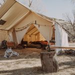 A wall tent set up in a natural outdoor setting, with camping gear, sleeping bags inside, a husky dog resting in front, and an axe in a tree stump.