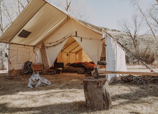 A wall tent set up in a natural outdoor setting, with camping gear, sleeping bags inside, a husky dog resting in front, and an axe in a tree stump.