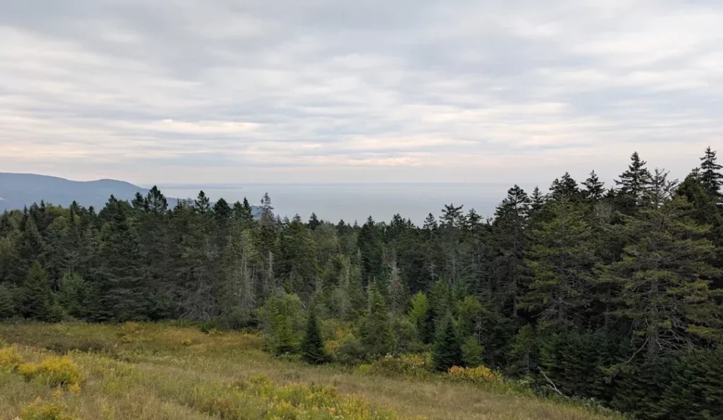 Fundy National Park New Brunswick. Credit: Google My Business
