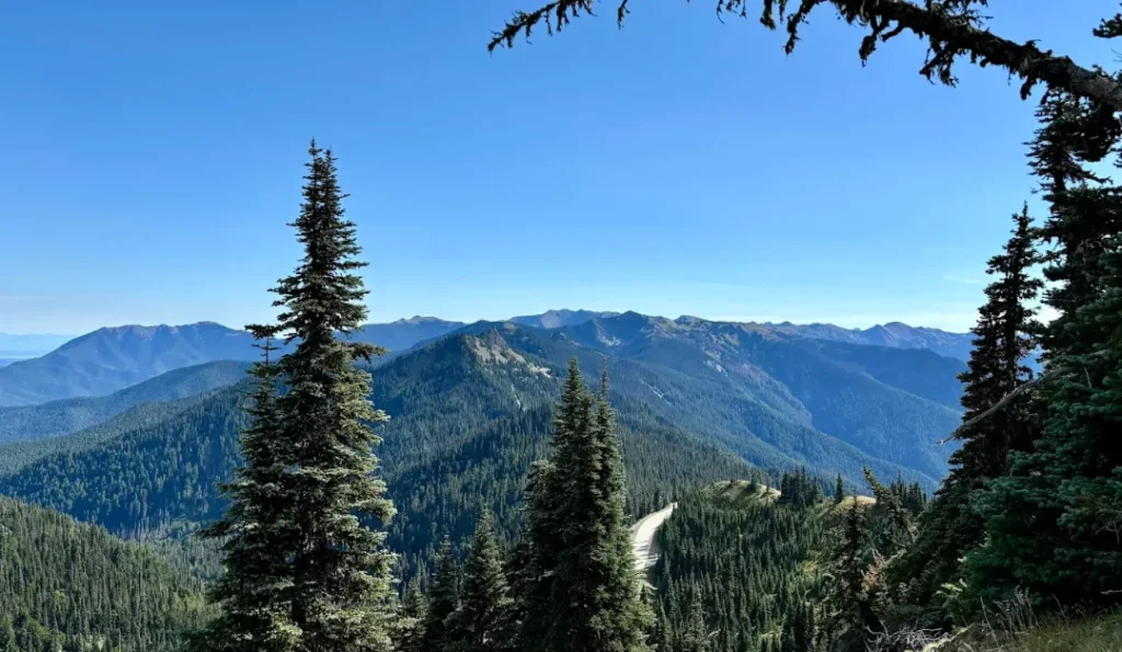 Olympic National Park, Washington. Credit: Google My Business