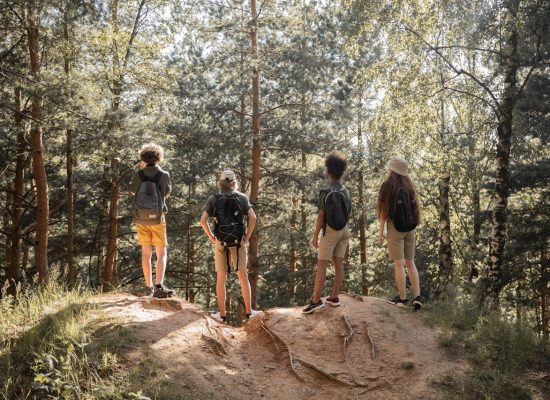 Four young people with backpacks stand on a hilltop in the forest, bonding with nature during a hike. Photo by Ekaterina Bolovtsova on Pexels.