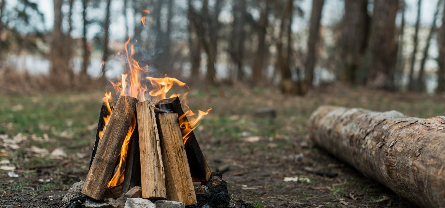 A campfire burning at a campsite in the woods