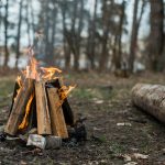 A campfire burning at a campsite in the woods