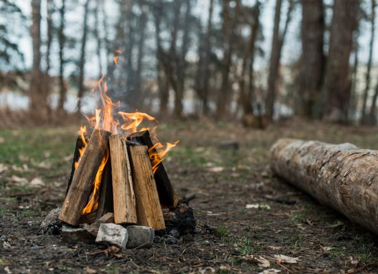 A campfire burning at a campsite in the woods