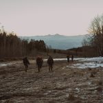 A group of people hiking together through a snowy field with trees and mountains in the distance, exploring the outdoors at sunset.