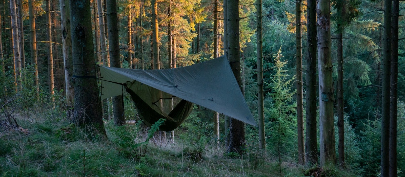 Camping hammock setup with a tarp shelter in a forest for outdoor protection and shade