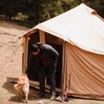 Person with a dog beside a canvas yurt tent in a forest clearing surrounded by trees.