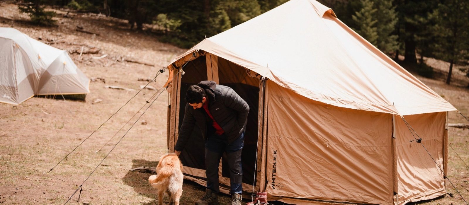 Person with a dog beside a canvas yurt tent in a forest clearing surrounded by trees.