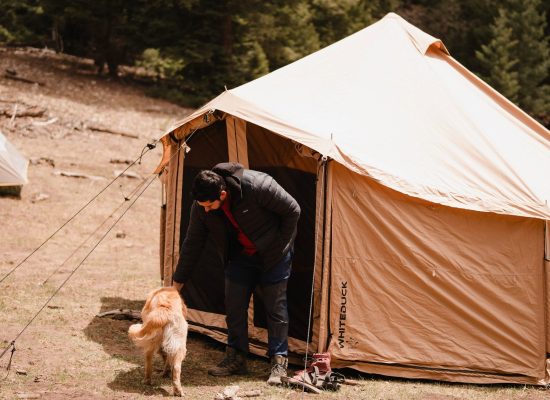 Person with a dog beside a canvas yurt tent in a forest clearing surrounded by trees.