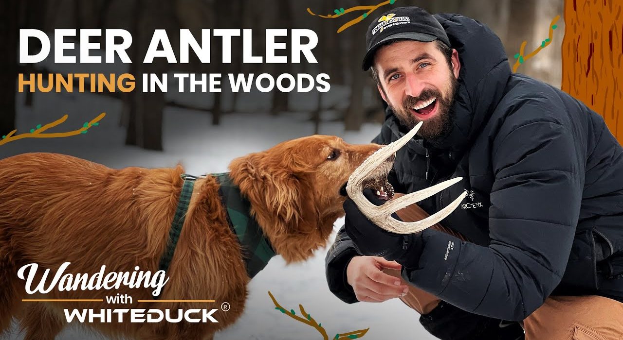 Man and dog discover a deer antler while exploring snowy woods during a winter outdoor adventure for White Duck’s Wandering series.