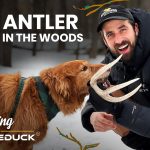 Man and dog discover a deer antler while exploring snowy woods during a winter outdoor adventure for White Duck’s Wandering series.