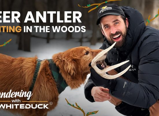Man and dog discover a deer antler while exploring snowy woods during a winter outdoor adventure for White Duck’s Wandering series.