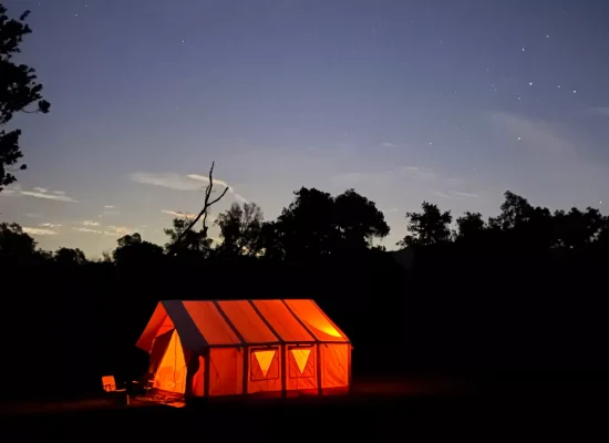 A glowing orange tent set up in a dark outdoor camp at dusk with a clear sky full of stars, perfect for a stargazing night.
