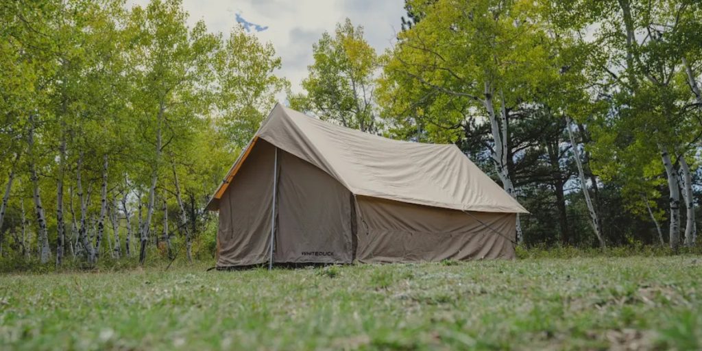 A-frame canvas tent pitched in a grassy field surrounded by birch trees.
