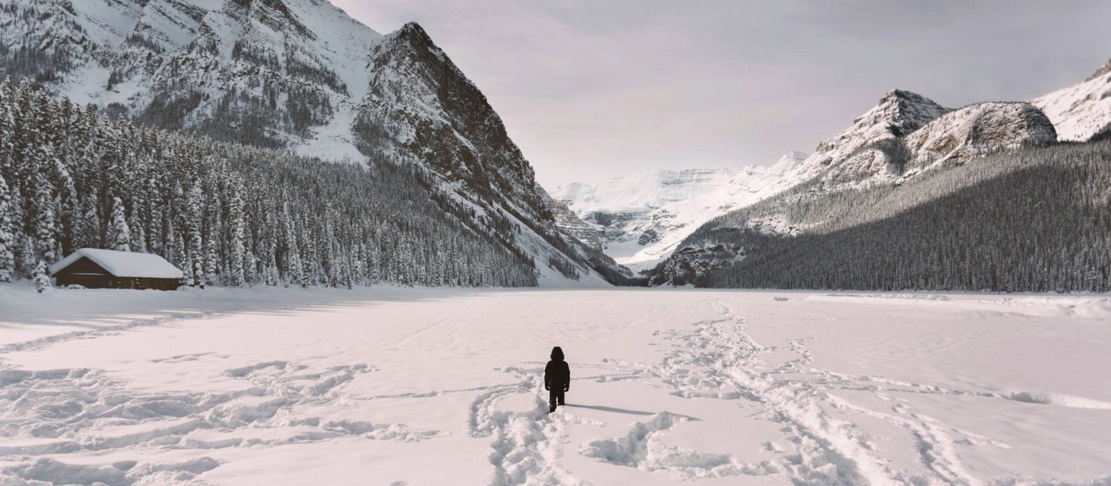 A person walking across a frozen lake surrounded by snow-covered mountains and pine forests in a national park during winter.