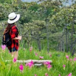 A woman hiker, seen from behind wearing a wide-brimmed straw hat, flannel shirt, and backpack, stands in a vibrant meadow of pink wildflowers, looking towards a dense woodland.