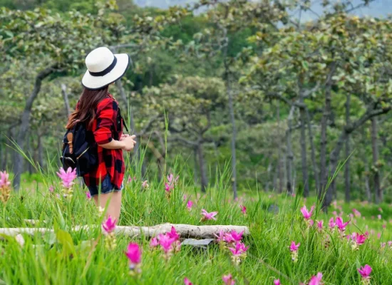 A woman hiker, seen from behind wearing a wide-brimmed straw hat, flannel shirt, and backpack, stands in a vibrant meadow of pink wildflowers, looking towards a dense woodland.