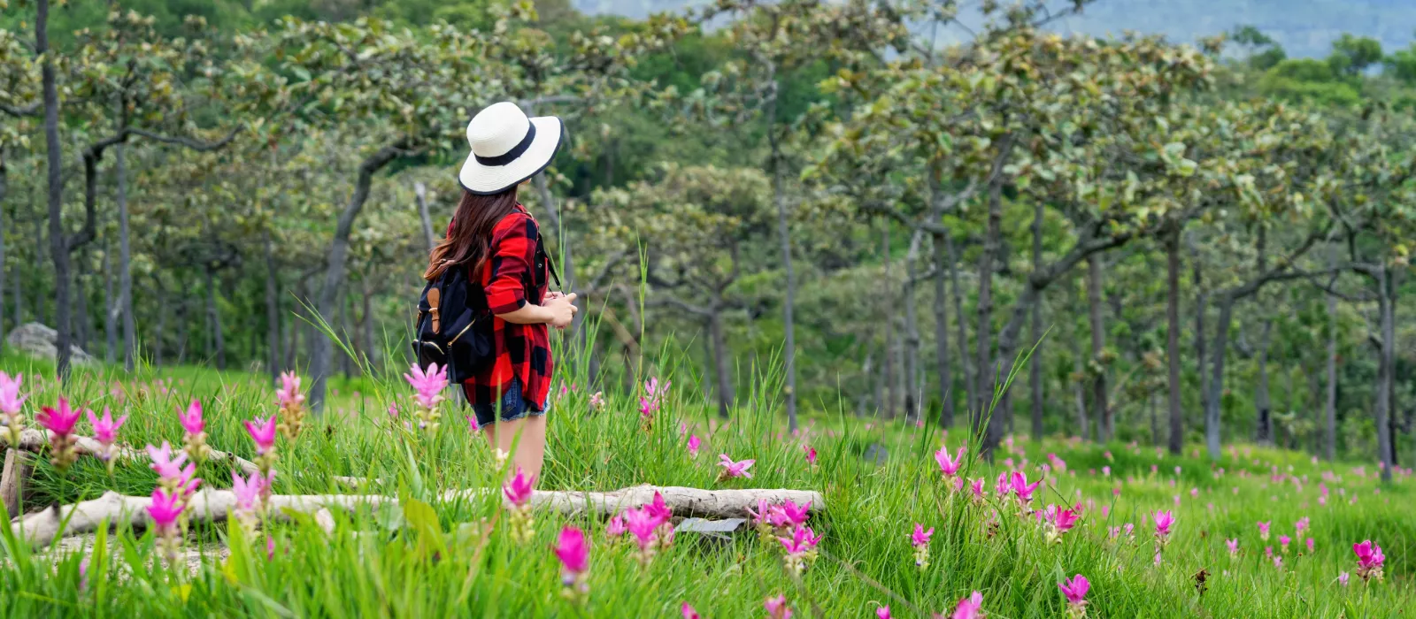 A woman hiker, seen from behind wearing a wide-brimmed straw hat, flannel shirt, and backpack, stands in a vibrant meadow of pink wildflowers, looking towards a dense woodland.