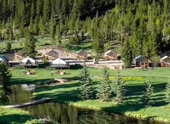 Glamping tents set along a lakeside forest campsite with green landscape, trees, and peaceful outdoor surroundings.
