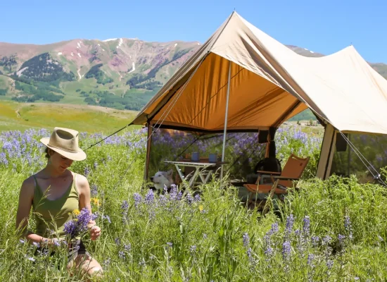 Spring glamping setup with canvas tent in blooming meadow and mountains in background