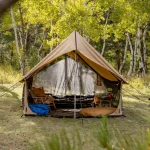 An open canvas tent filled with camping gear in a beautiful, sunny woodland setting.