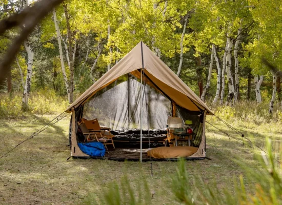 An open canvas tent filled with camping gear in a beautiful, sunny woodland setting.