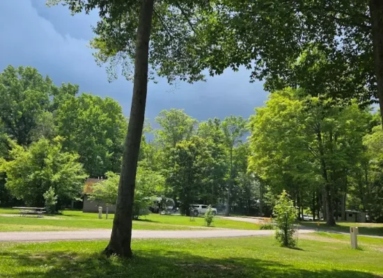 RV parked at a shaded campsite in Darien Lakes State Park with lush green trees, picnic area, and dramatic cloudy sky in the background