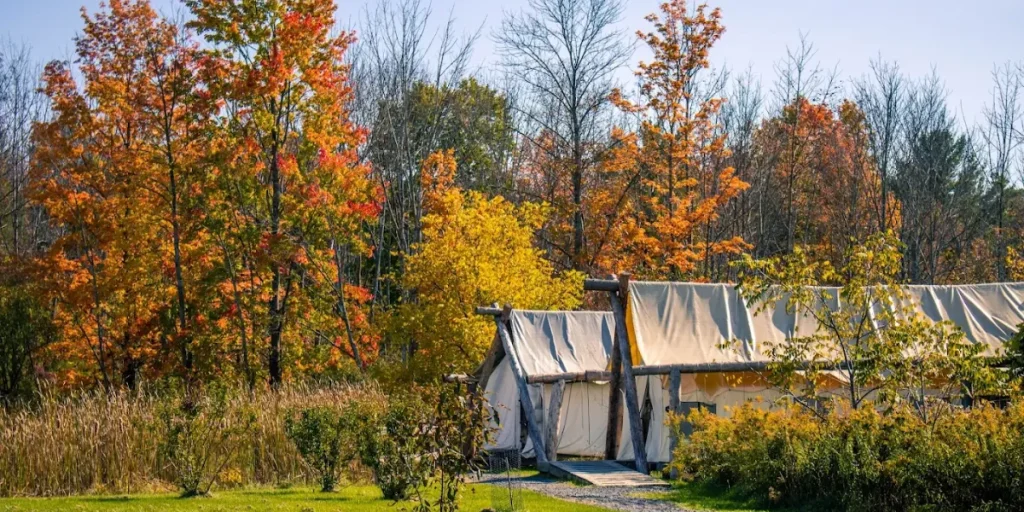 Canvas glamping tents at Firelight Camps surrounded by colorful fall foliage and trees in a peaceful outdoor setting. Credit: Firelight Camps GMB