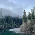 A misty morning view of a turquoise river flowing through a dense redwood forest under a foggy sky in Redwood National Park. Credit: Redwood National Park GMB