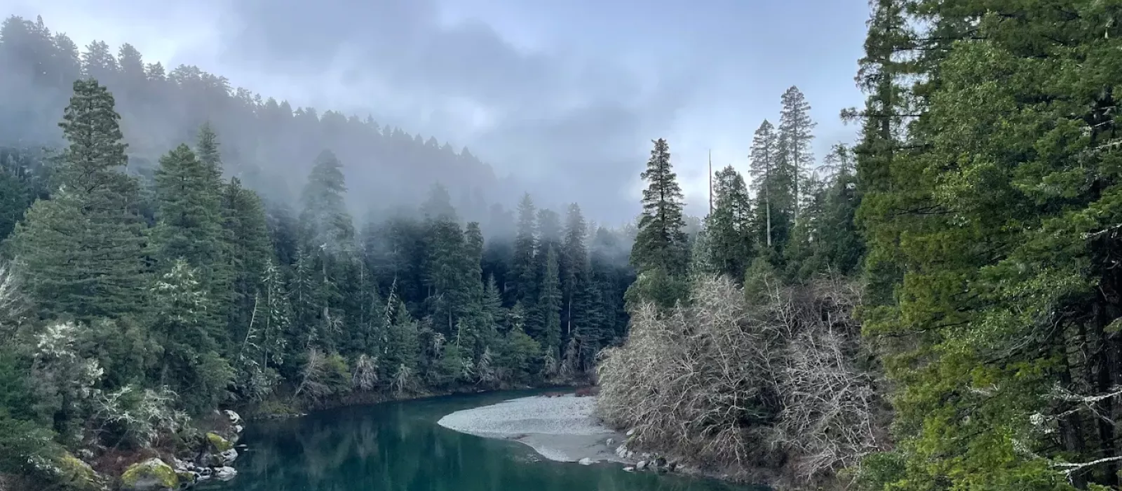 A misty morning view of a turquoise river flowing through a dense redwood forest under a foggy sky in Redwood National Park. Credit: Redwood National Park GMB