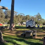 RVs and tents at a scenic Morro Bay campground surrounded by trees with a mountain view in the background