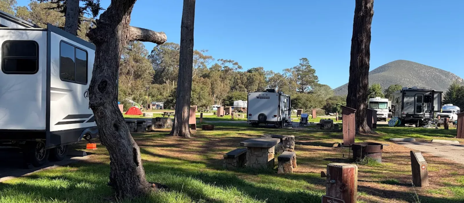 RVs and tents at a scenic Morro Bay campground surrounded by trees with a mountain view in the background