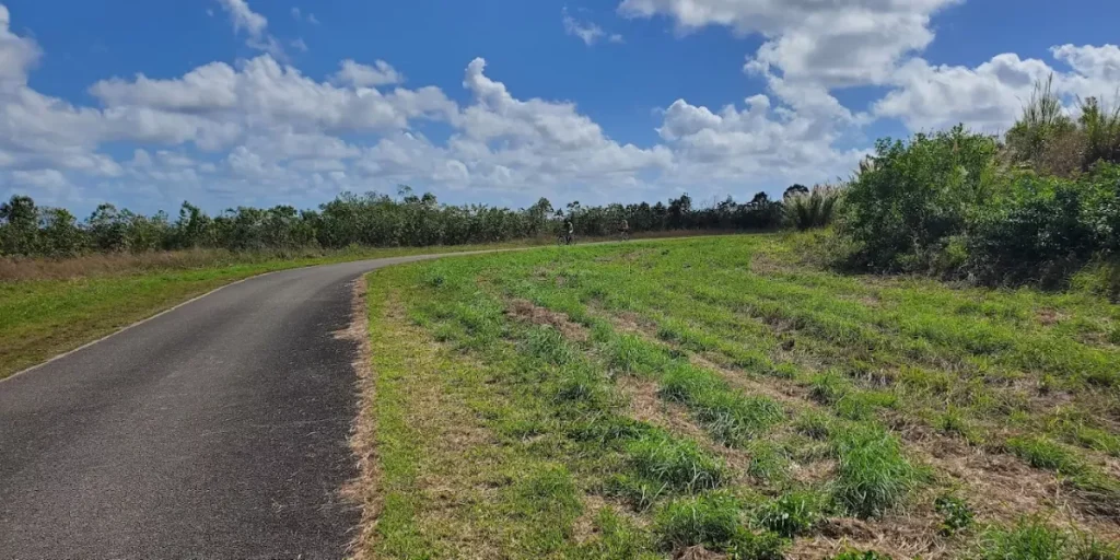 A paved cycling path winds through a grassy field under a cloudy blue sky at Long Pine Key Campground in the Everglades.
Credit: Long Pine Key Campground  GMB