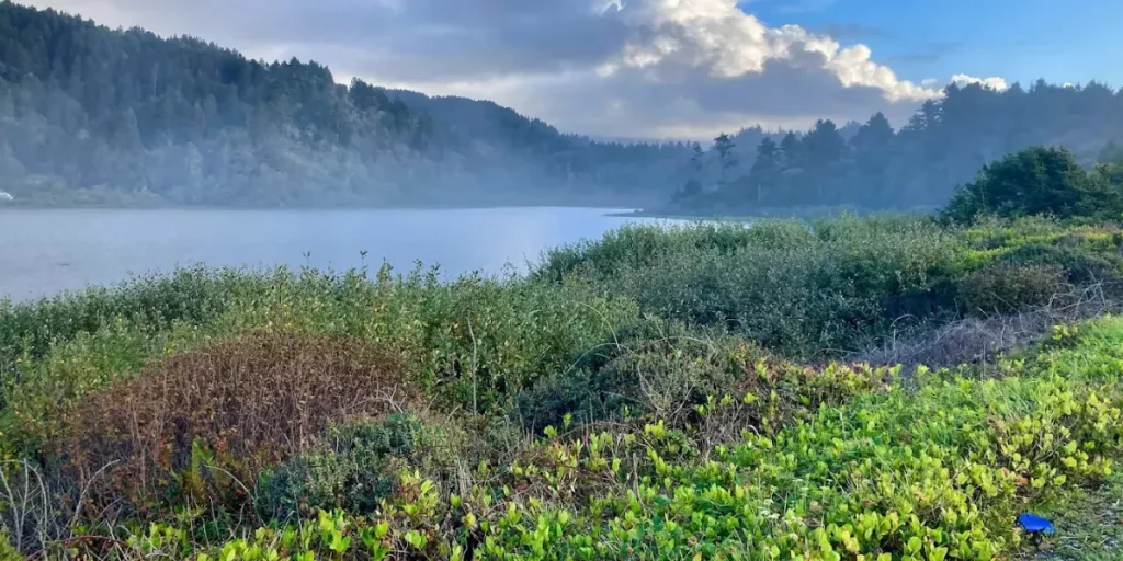 Misty morning view of Redwood Creek campsite with calm lake, lush greenery, and forested hills in the background. Credit: Redwood Creek Campsite GMB