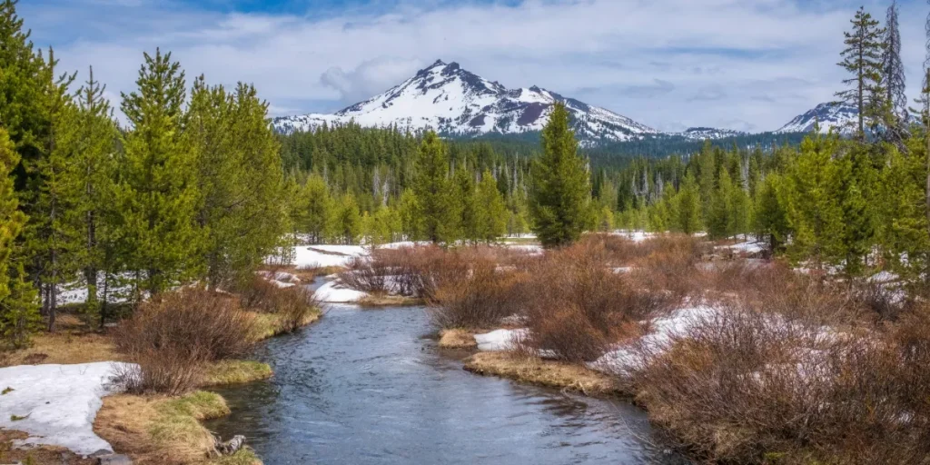 A small, clear mountain creek, the Salmon River, flows through a meadow with melting snow and brush, with pine forests and a snow-capped peak in the distance. Credit: Freepik