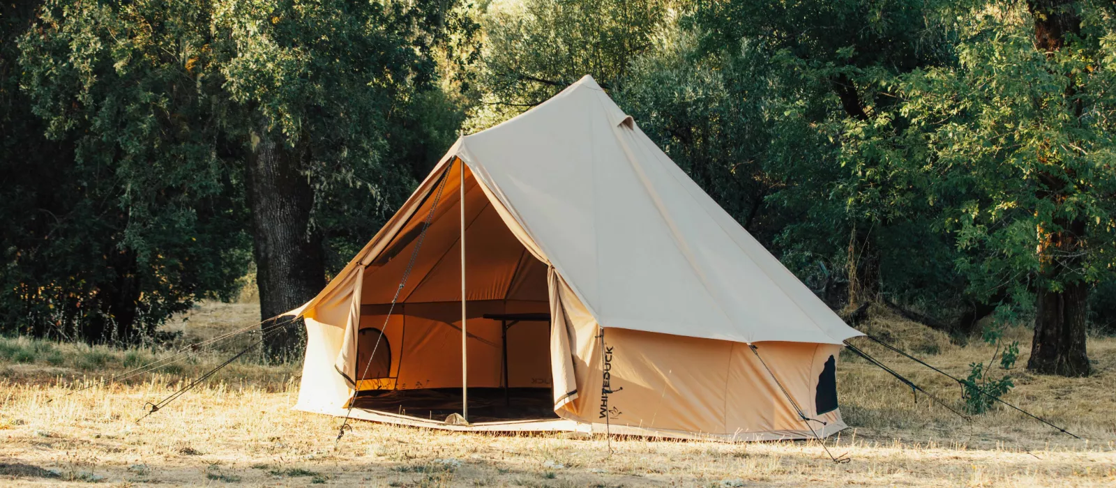 Canvas bell tent set up in a peaceful forest campsite with trees and dry grass surrounding it, sunlight filtering through the woods.