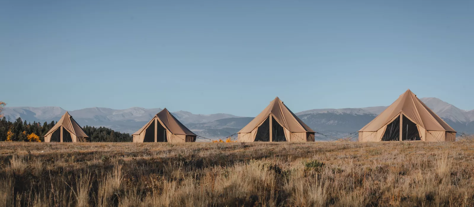 Four canvas bell tents set up in an open field with mountains in the background under a clear blue sky.