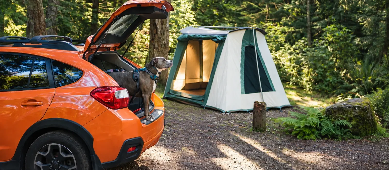 Cabin tent setup for solo camping with a car and dog in the forest