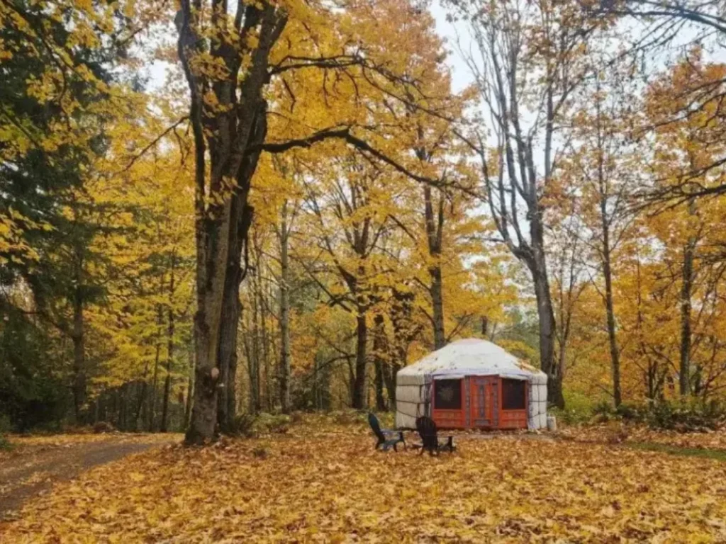 Autumn yurt getaway at Wildfern Grove in Buckley, WA. Image source: Wildfern Grove Google Profile.